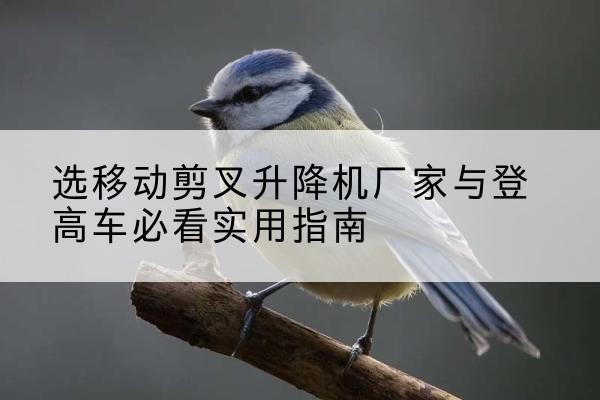 西乡电动升降机厂家-选移动剪叉升降机厂家与登高车必看实用指南