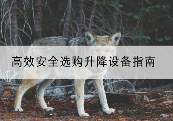 西乡升降货梯厂家推荐-*安全选购升降设备指南