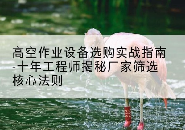 西乡剪叉式升降机厂家-高空作业设备选购实战指南-十年工程师揭秘厂家筛选核心法则